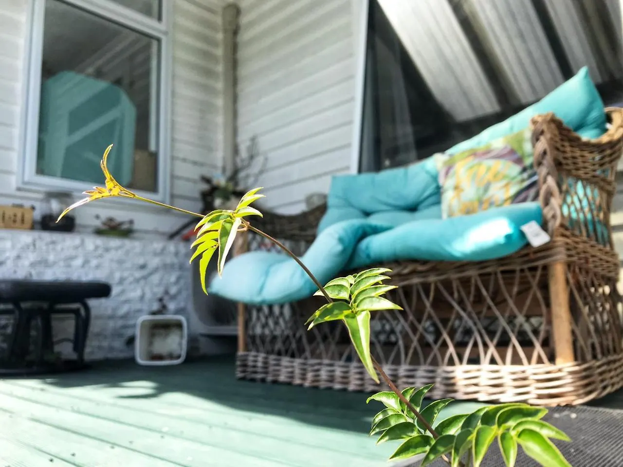 ** Guest house Studious Village Christchurch New Zealand